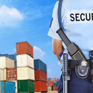 Seguridad Comercial
